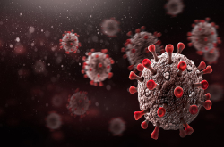 photo of covid-19 virus